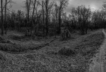 Creepy Trail B&W